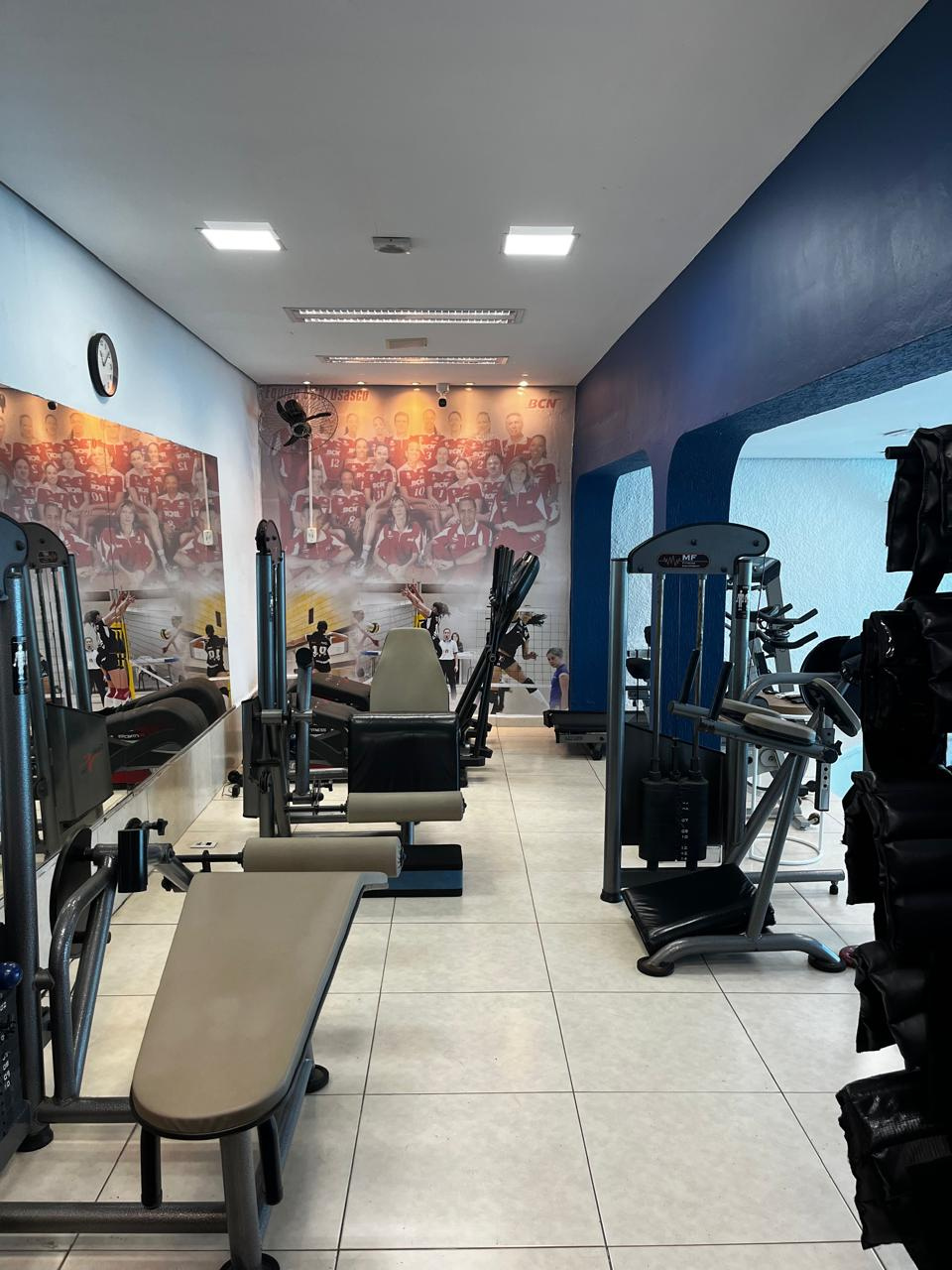 Treino Funcional